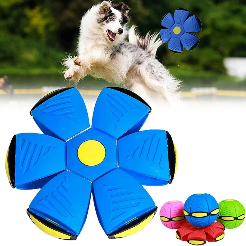 Disco Voador para Pets - Diversão Garantida para o Seu Cão!